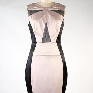 Black and Blush Pencil Dress